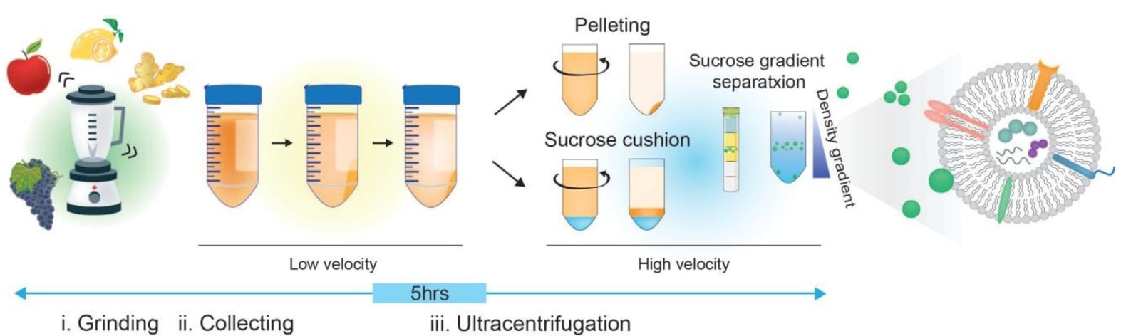 A schematic illustration of a general method for isolating PENs.